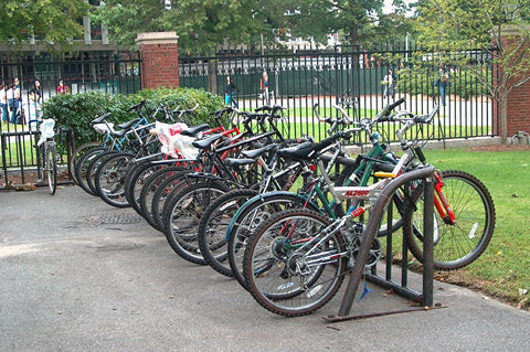 Bicycle Stand in Harvard Yard