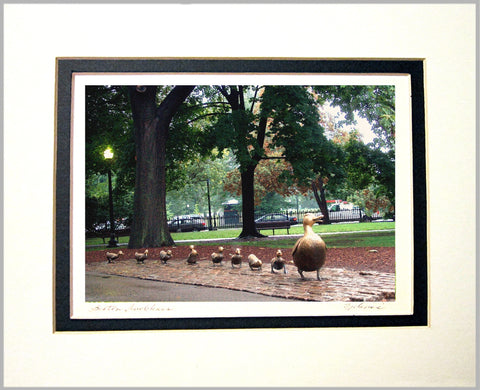 Boston Ducklings Matted Print