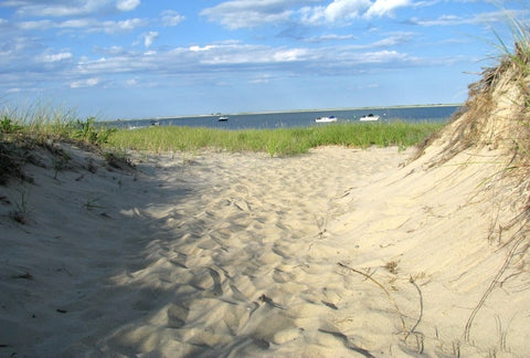 Sand Dunes, Pathway to Beach