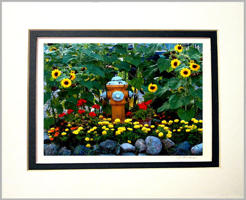 Sunflowers with Hydrant Matted Print