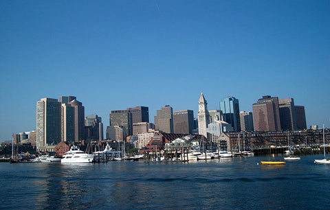 Boston Viewed from the Harbor