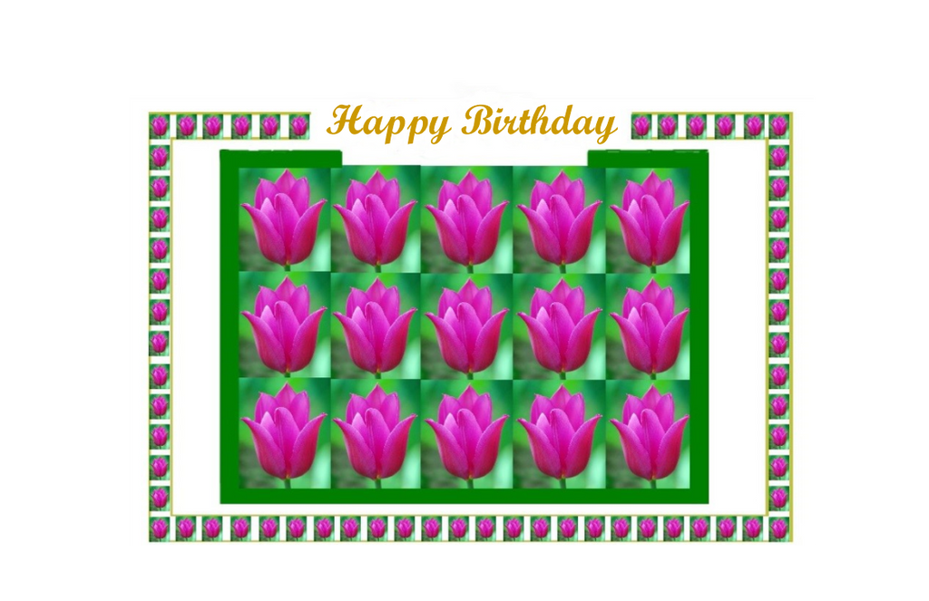 Happy Birthday, Box of Tulips
