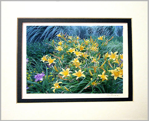 Lilies and Seagrass Matted Print
