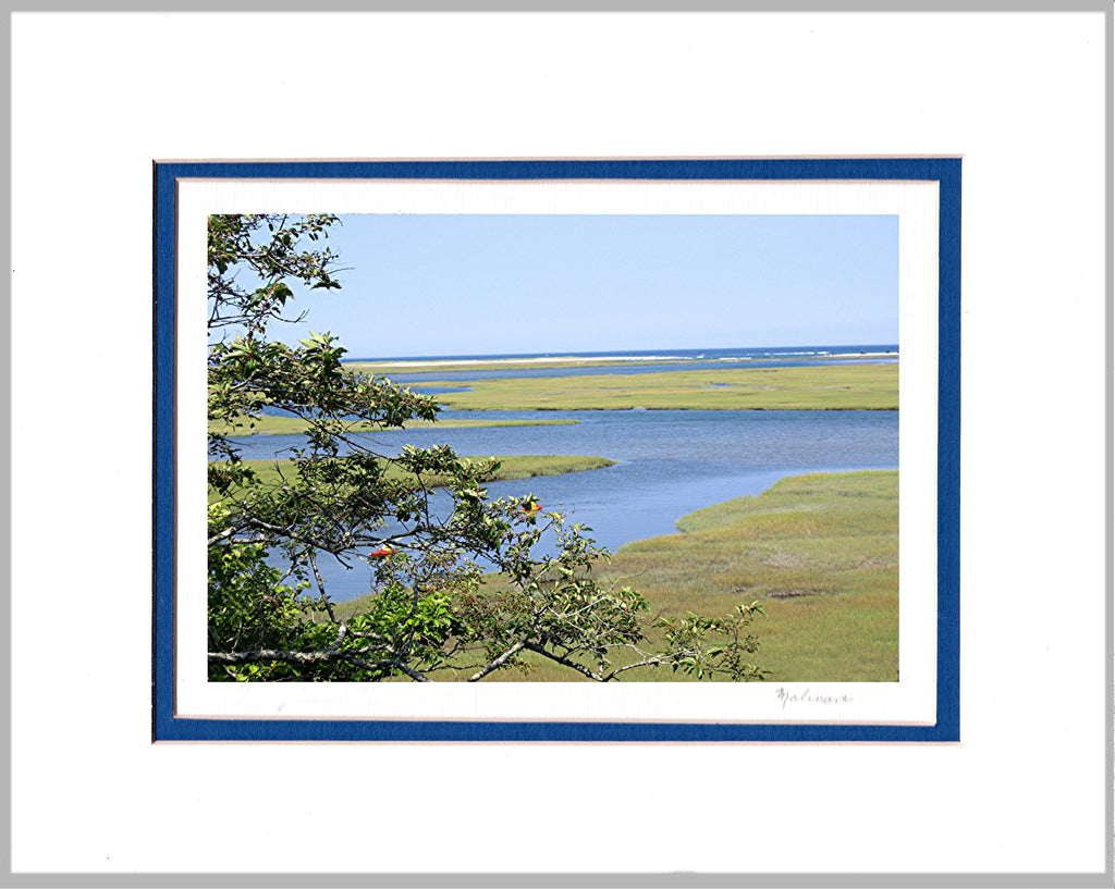 Sea Marshes Matted Print