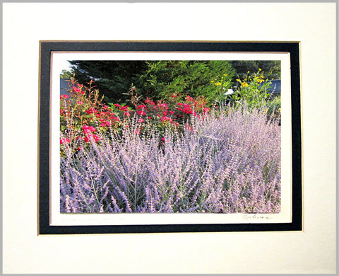 Summer Colors Matted Print