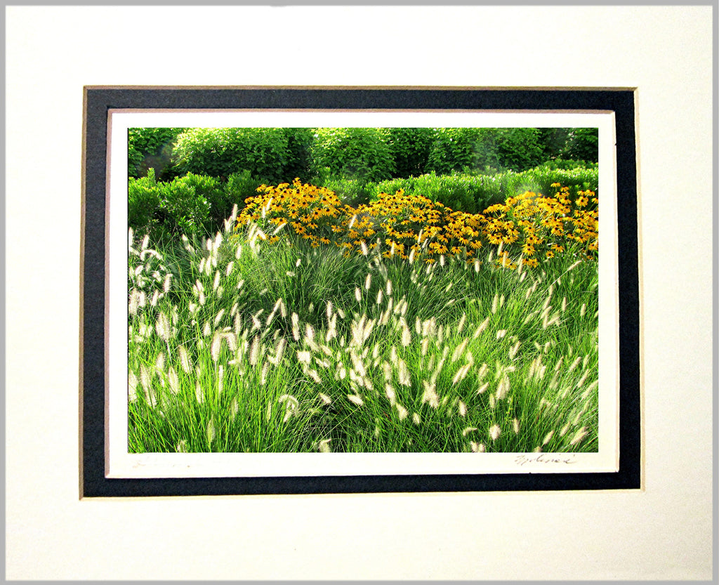 Summer Day Matted Print