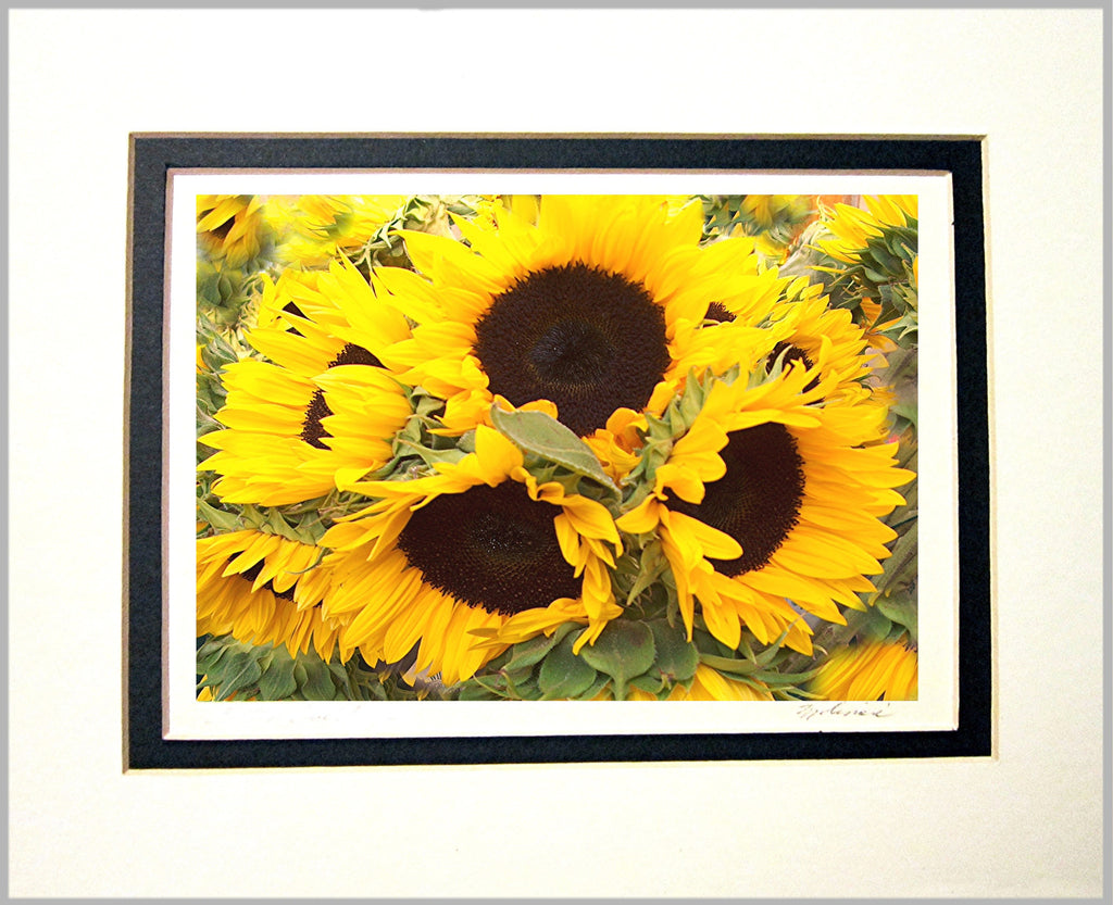 Sunflowers Matted Print
