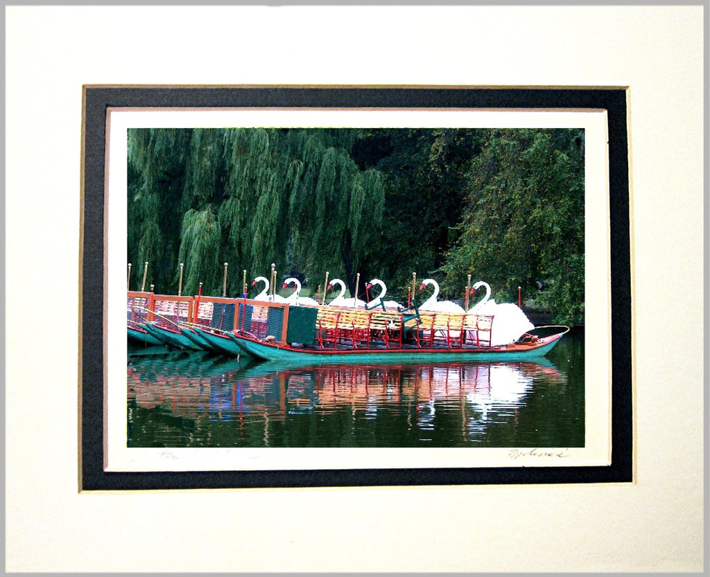 Swan Boats at the End of the Day