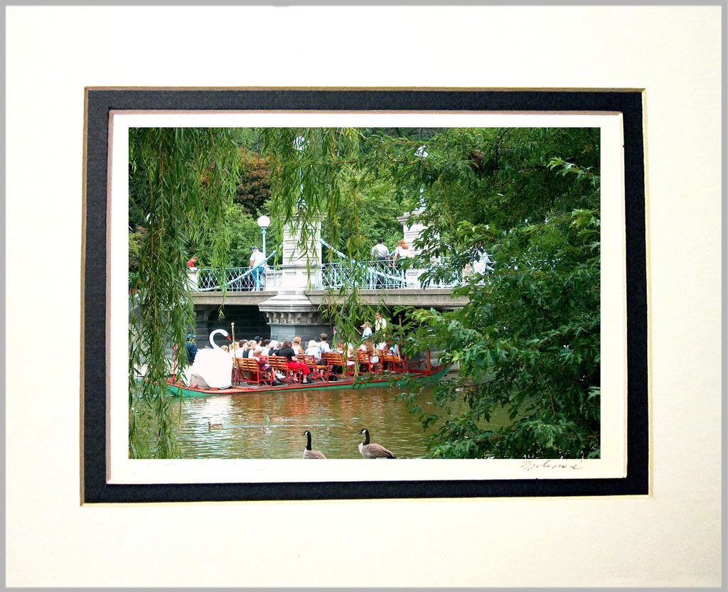 Swan Boat on Lagoon Matted Print
