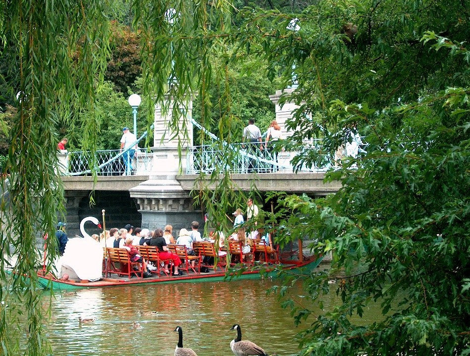 Swan Boat on Lagoon