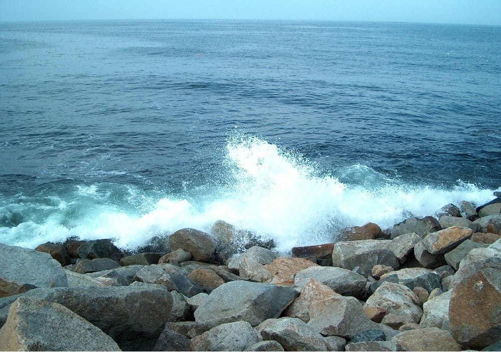 View from Bear Skin Neck, Rockport