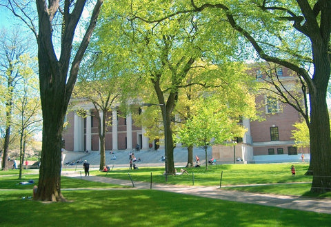 Weidner Library, Harvard